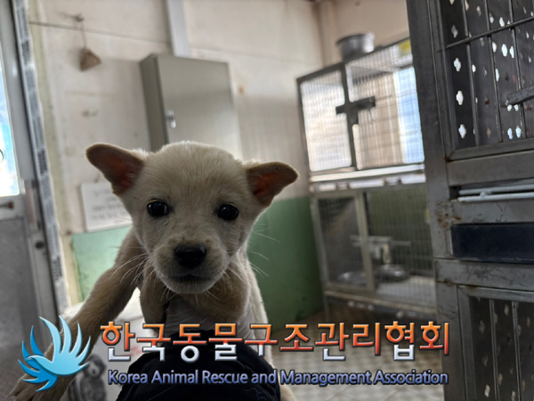 한국동물구조관리협회_441560202401374